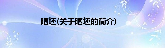 晒坯(关于晒坯的简介)