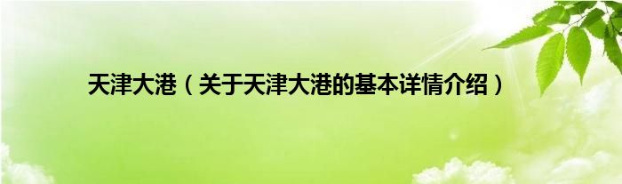 天津大港（关于天津大港的基本详情介绍）