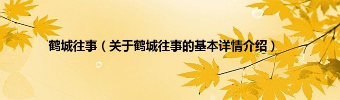 鹤城往事（关于鹤城往事的基本详情介绍）