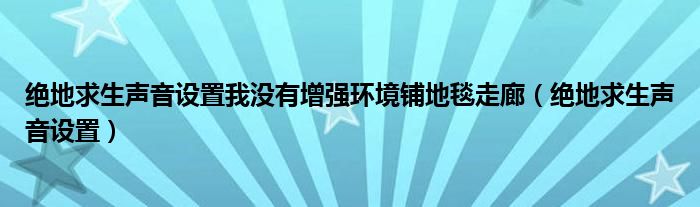 绝地求生声音设置我没有增强环境铺地毯走廊（绝地求生声音设置）