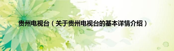 贵州电视台（关于贵州电视台的基本详情介绍）