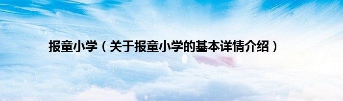 报童小学（关于报童小学的基本详情介绍）