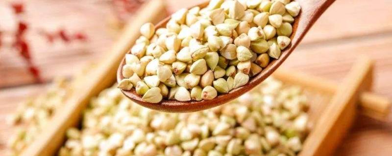 荞麦的功效与作用