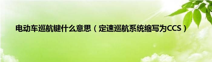 电动车巡航键什么意思（定速巡航系统缩写为CCS）