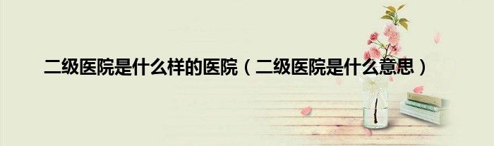 二级医院是什么样的医院（二级医院是什么意思）