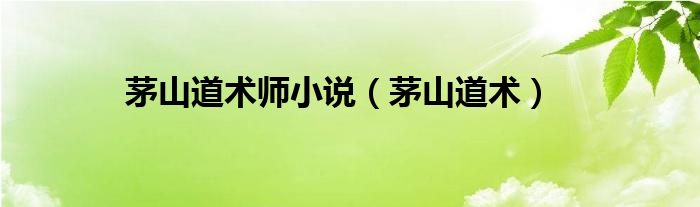 茅山道术师小说（茅山道术）