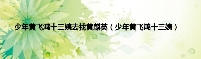 少年黄飞鸿十三姨去找黄麒英（少年黄飞鸿十三姨）