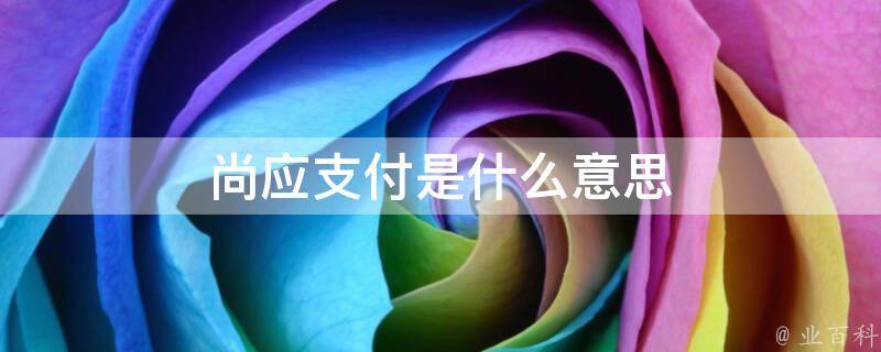 尚应支付是什么意思