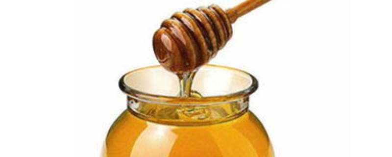 苹果和蜂蜜可以榨汁吗