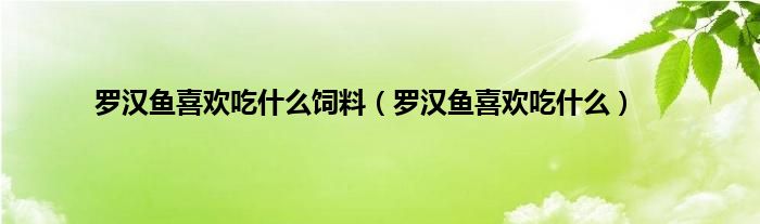 罗汉鱼喜欢吃什么饲料（罗汉鱼喜欢吃什么）