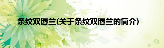 条纹双唇兰(关于条纹双唇兰的简介)