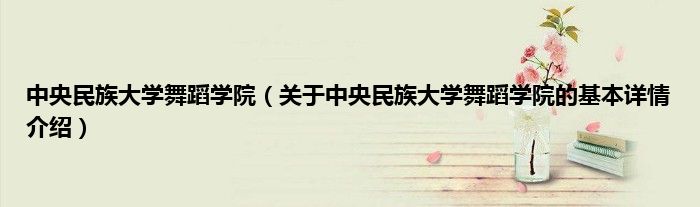 中央民族大学舞蹈学院（关于中央民族大学舞蹈学院的基本详情介绍）