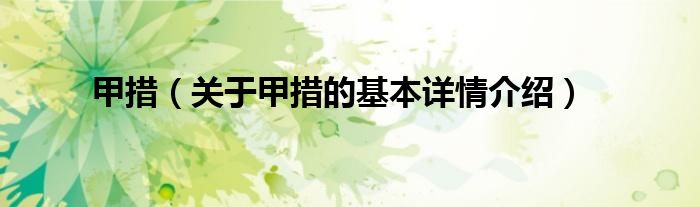 甲措（关于甲措的基本详情介绍）