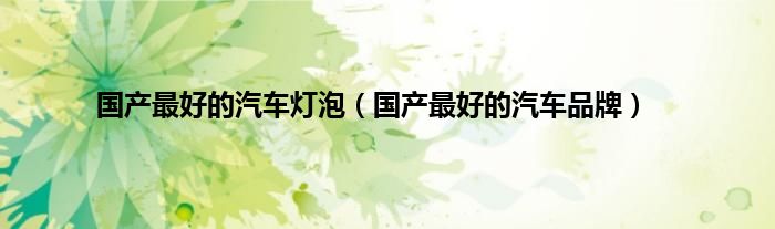 国产最好的汽车灯泡（国产最好的汽车品牌）