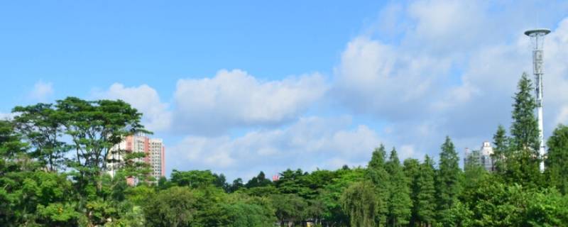 南郊公园可以烧烤吗