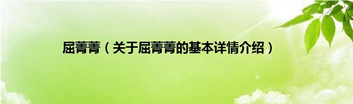 屈菁菁（关于屈菁菁的基本详情介绍）