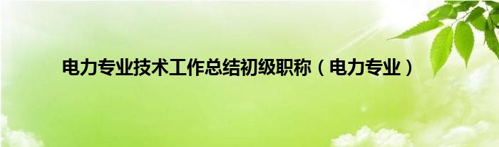 电力专业技术工作总结初级职称（电力专业）