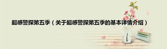 超感警探第五季（关于超感警探第五季的基本详情介绍）