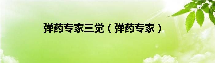 弹药专家三觉（弹药专家）
