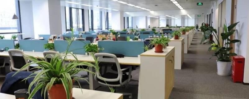 公司资质是指什么