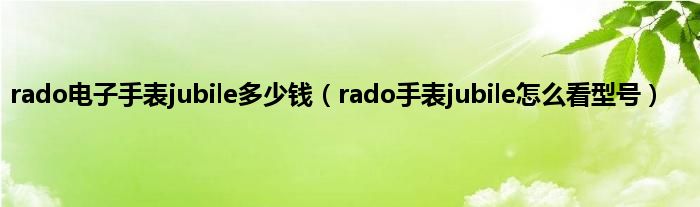 rado电子手表jubile多少钱（rado手表jubile怎么看型号）