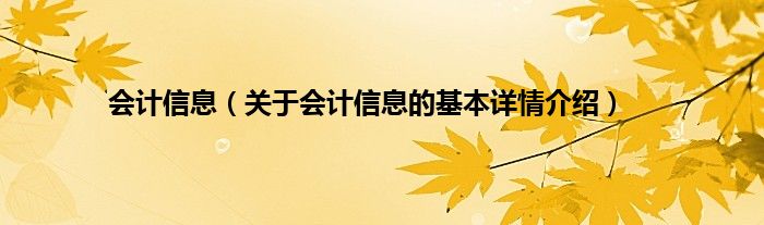 会计信息（关于会计信息的基本详情介绍）