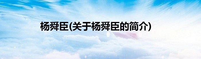 杨舜臣(关于杨舜臣的简介)