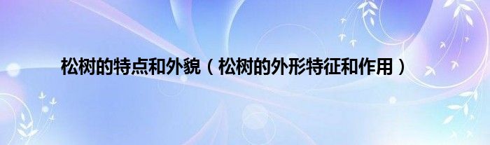 松树的特点和外貌（松树的外形特征和作用）