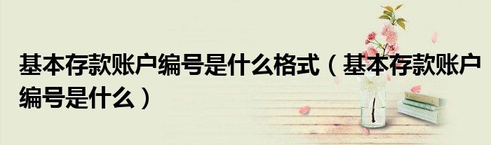 基本存款账户编号是什么格式（基本存款账户编号是什么）