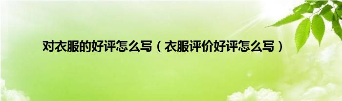 对衣服的好评怎么写（衣服评价好评怎么写）