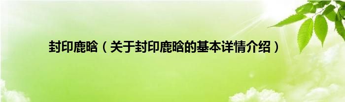 封印鹿晗（关于封印鹿晗的基本详情介绍）