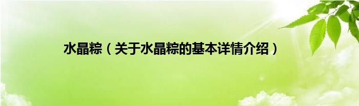 水晶粽（关于水晶粽的基本详情介绍）