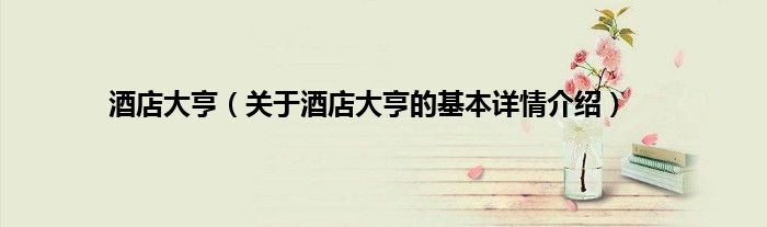 酒店大亨（关于酒店大亨的基本详情介绍）