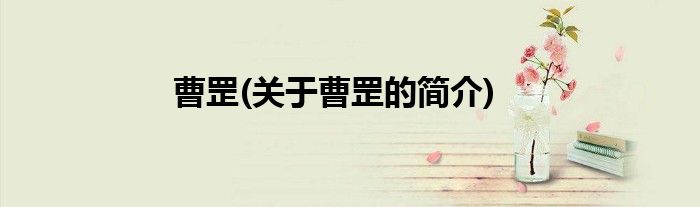 曹罡(关于曹罡的简介)