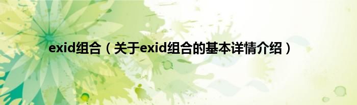 exid组合（关于exid组合的基本详情介绍）