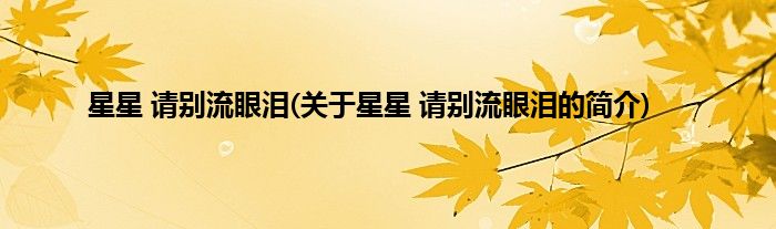 星星 请别流眼泪(关于星星 请别流眼泪的简介)