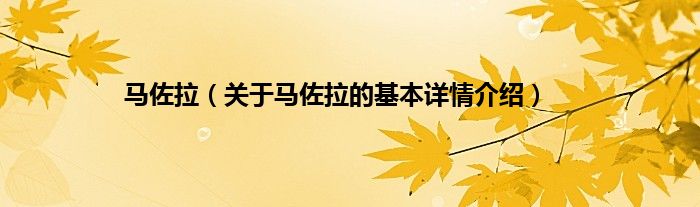 马佐拉（关于马佐拉的基本详情介绍）