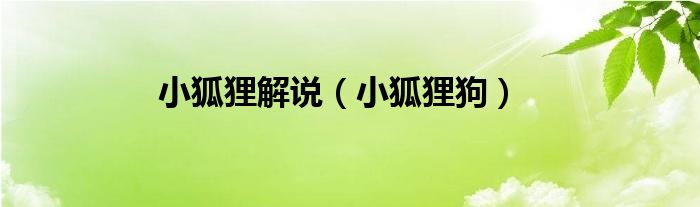 小狐狸解说（小狐狸狗）