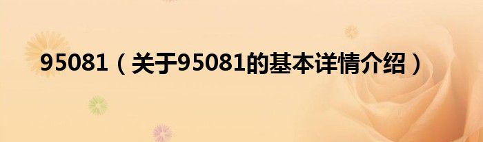 95081（关于95081的基本详情介绍）