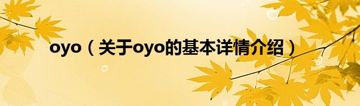 oyo（关于oyo的基本详情介绍）