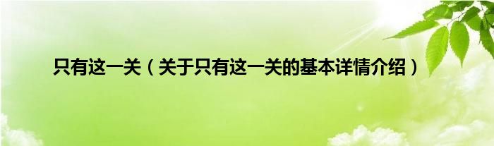只有这一关（关于只有这一关的基本详情介绍）