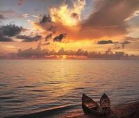 中国专利的类型分为了几种呢？